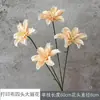 Tecido Estampado Flores Dália de Quatro Cabeças, Flores Artificiais Begônia Pequena de Quatro Cabeças, Decoração de Casamento, Adereços de Casamento, Adereços de Fotografia