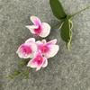 Novo Novo Solteiro Orquídea Phalaenopsis 4 Cabeças Decoração Sala de Estar Enfeites de Mesa Arranjo de Flores Chão Casamento Floral Orquídea Phalaenopsis