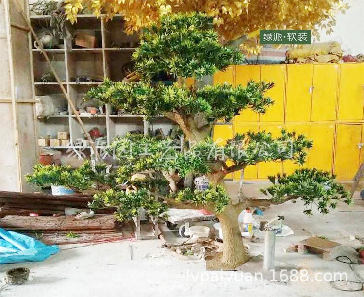 迎客松1338.jpg