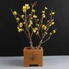 Ciruelo en Maceta Interior Perfumado Ciruelo de Invierno Bonsái Ciruelo Rojo Pila Vieja Balcón Patio Plantas Resistentes al Frío Fáciles de Cultivar