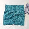 Conjunto de Sutiã Fitness Feminino Estampa de Leopardo Cinto Fino Costas Bonitas Sexuais Secagem Rápida Respirável Rolo de Ferro Roupa Íntima de Yoga Colete Esportivo