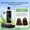 Aceite esencial para el cuidado del cabello a base de plantas transfronterizo, champú de romero refrescante, voluminizador, nutritivo, regulador de grasa, hidratante y suavizante