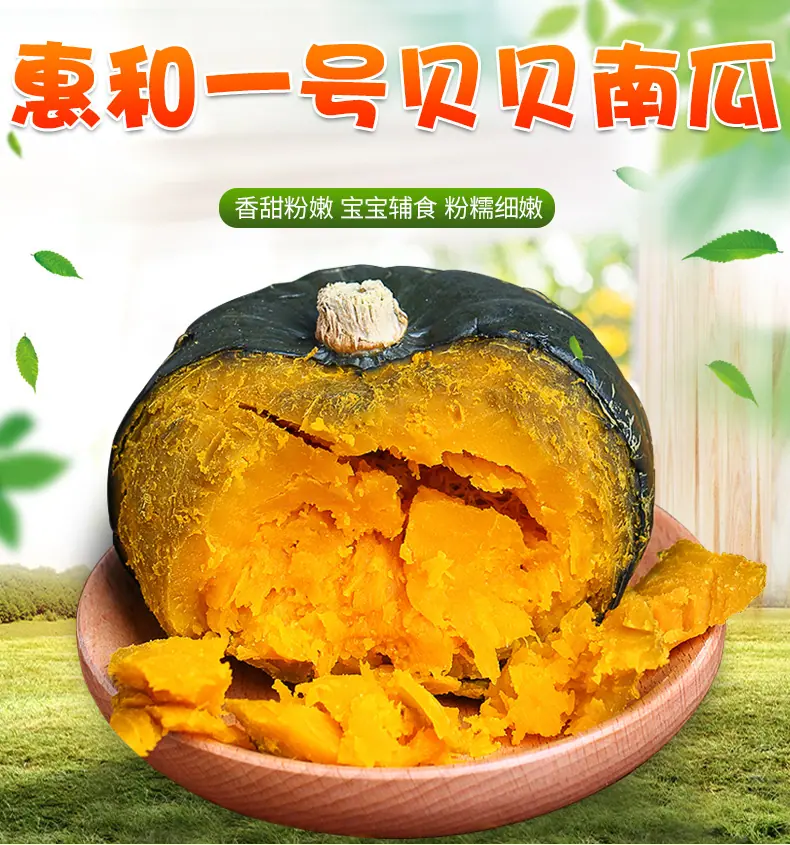 山东惠和一号贝贝南瓜 代发3/5斤粉糯板栗味宝宝辅食吊瓜新鲜蔬菜详情图1