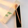 Caja de Regalo para Pasador de Ébano, Pasador de Estilo Chino Tradicional, Accesorio para el Cabello Hanfu, Accesorio de Moda, Adorno para el Cabello, Pasador para Recogido, Sensación de Alta Gama