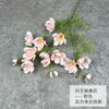 Flor Gesang Simulada, Flor Simulada, Cosmos, Flor para Decoração de Sala de Estar, Flor Artificial, Exibição de Mesa de Jantar, Flor de Plástico, Gesang Meiduo