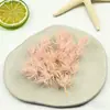 Flores Eternas Hojas de Pino 2g Materiales de Flores Eternas Kit de Materiales Hecho a Mano para DIY Caja de Regalo Vidrio