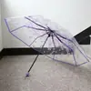 Guarda-chuva Transparente com Design de Gato Branco, Totalmente Automático, Estilo Anime, Manual, Fofo, Alto Valor Estético, Dobrável, para Influenciadoras Femininas, Crianças, Desenhos Animados, Estudantes