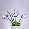 Dispositivo de Riego Automático Perezoso para Pájaros y Flores, Artefacto de Goteo para Viajes de Negocios, Dispositivo de Riego por Goteo y Filtración para Macetas Domésticas, PVC para Jardinería