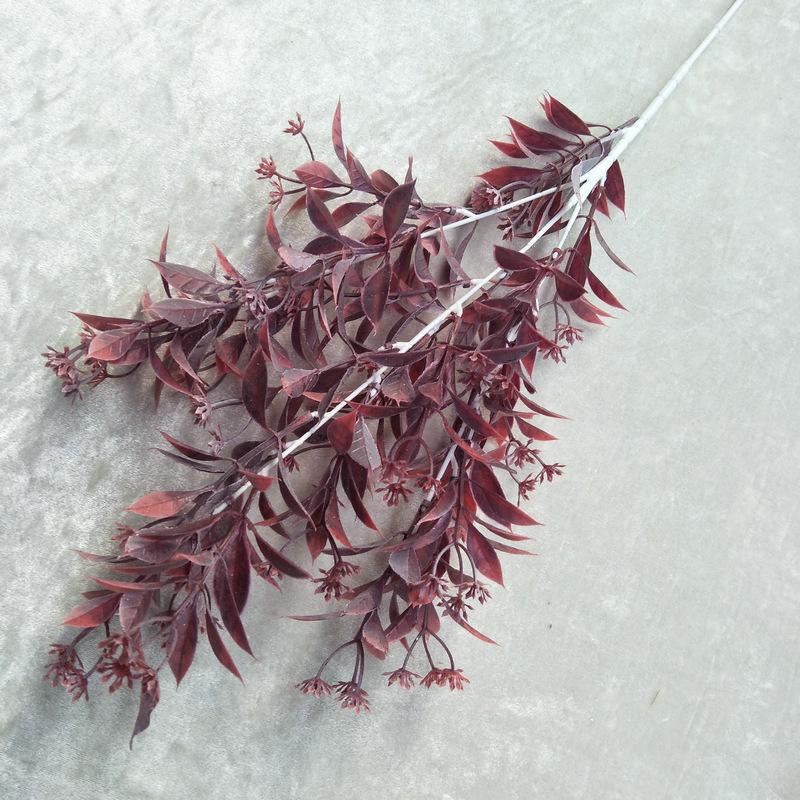 水芙蓉2号红色