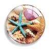 Concha do Mar Pedra do Tempo DIY Vidro de Cristal Adesivo de Geladeira Quadro de Mensagens Chaveiro Brincos Suporte para Celular