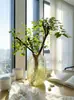 Serviço de Dropshipping para Árvores Bonsai de Folha Pequena de Ligustrum Hidropônico, Plantas Ornamentais Perenes com Folhagem e Caules, Galhos e Flores Recém-Cortados