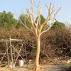 Simulación de Árbol Muerto Modelado Grande Ramas Secas Troncos Reales Árbol Falso Árbol para Trepar Gatos Accesorios Árbol de los Deseos Ramas Decorativas para Fachada de Tienda