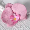 Pétalas de cabeça de flor phalaenopsis de filme artificial acessórios de flor artificial adorno de cabeça grampo de cabelo diy feito à mão decoração de casamento