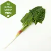 Adereços de vegetais de simulação modelo de vegetal de simulação folhas de alface falsas brócolis repolho adereços de supermercado frutas e vegetais crianças