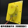 Interruptor de Desalinhamento de Correia de Elevador TDP-I Embutido WTDP-I Máquina de Zíper Máquina Raspadora Interruptor Anti-Desalinhamento