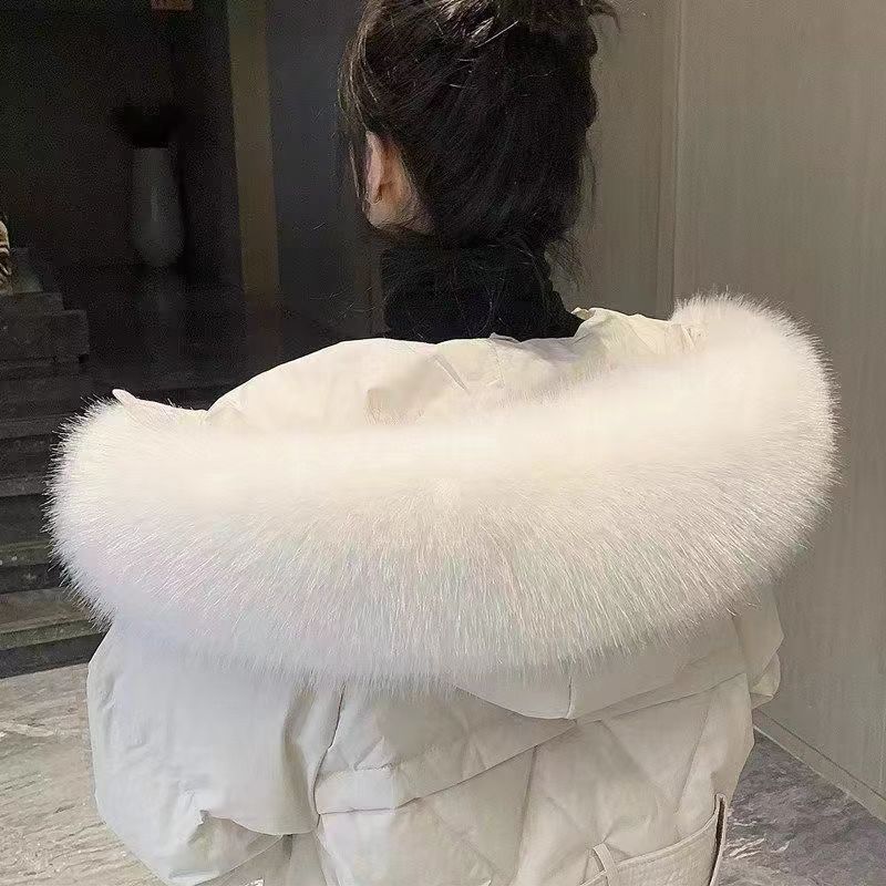 样图4.jpg