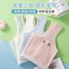Chaleco jacquard de alta elasticidad para estudiantes de primaria y secundaria, transpirable y no sofocante, algodón puro suave y cómodo para la piel, chaleco para niña