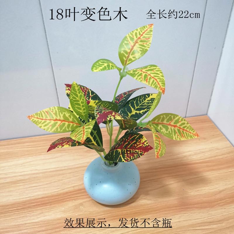 【18叶变色木】.jpeg