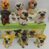 Artesanato em Resina Decoração para Casa 5CM12 Atrações de Cachorrinhos Presentes Decoração Acessórios para Carro Presentes Taobao