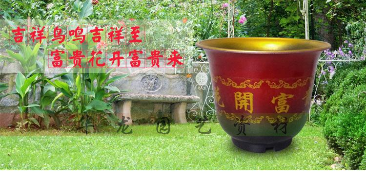 花开富贵烤漆盆详情_01