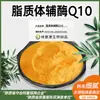 Coenzima Q10 Liposomal 50% Coenzima Q10 Soluble en Agua 98% Polvo Vitaminas Liposomales Encapsulación de Fosfolípidos