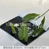 Plantas Artificiales Verdes, Decoración de Salón de Bodas Estilo Bosque, Flores Falsas, Flores Artificiales para Bodas, Plantas de Hojas Artificiales, Pared de Flores