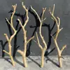Rama seca leño bifurcación arte rama seca rama muerta tronco madera muerta forma posadero de pájaros colgante de pared perchero rama de techo decoración