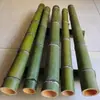 Tubos de Bambú Verde, Cañas de Bambú Huecas, Herramientas para Manualidades DIY para Jardín de Infancia, Tubos de Bambú Crudo
