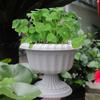 Maceta de Copa de Vino de Pelo Liso de Fábrica Universal Maceta de Flores de Torre Vintage Maceta de Flores Hidropónica de Cobre Cuenco de Hierba de Dinero Maceta de Loto Maceta Europea para Loto Acuático