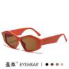 Nuevas Gafas de Sol Irregulares Moda Europea y Americana Mismo Estilo que Celebridades de Internet Gafas de Calle Gafas de Sol Ojo de Gato Personalizadas Personalizadas para Mujer