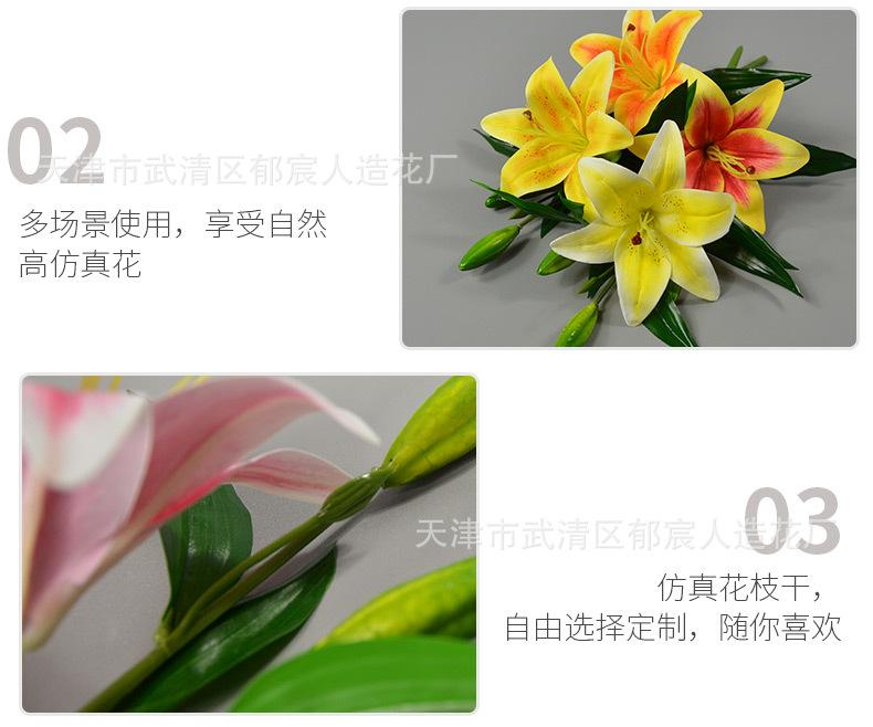 详情_10.jpg