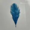 Estoque de Fábrica Penas de Avestruz Finas 20cm-25cm Decoração DIY para Casamento Material de Pena de Avestruz Multicor