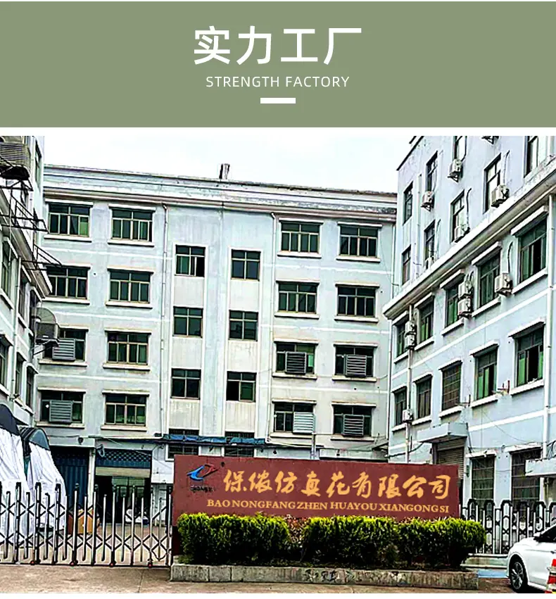 保侬详情_15.jpg