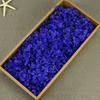 Flor Mágica Flor Eterna AB Anna Hortênsia 100g Aniversário Real Flor Diy Material Flor Seca Decoração Namorada Presente