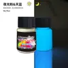 Polvo Luminoso Fluorescente de Alto Brillo de Larga Duración de 12 Colores Transfronterizo Polvo Fluorescente Pigmento Luminoso Aceitoso para Manualidades con Resina Epoxi DIY 20g
