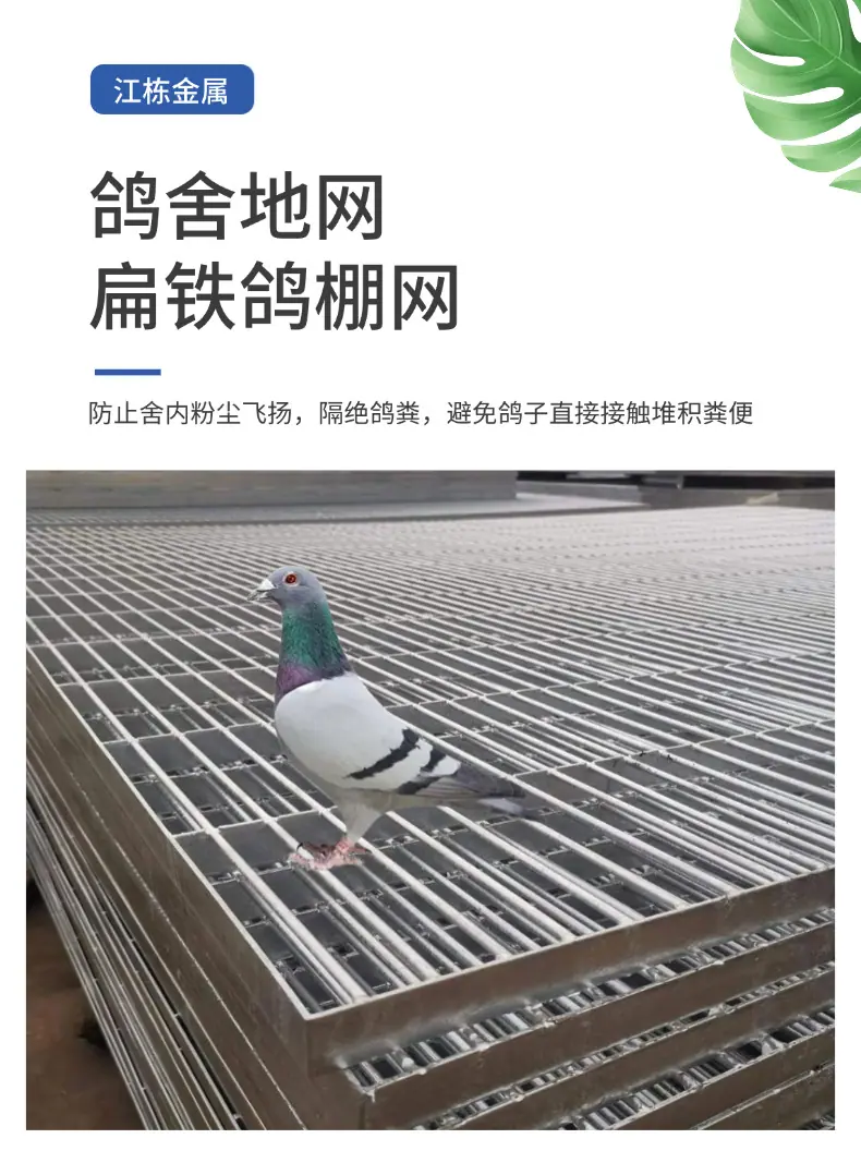 鸽舍地网 (2).png