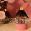 Aromaterapia Personalizada Óleos Essenciais de Alta Qualidade para Quartos de Casa, Hotéis, Fragrância de Longa Duração, Decorações Aromáticas, Incenso para Banheiro Atacado