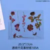 Artesanato DIY de Resina com Papoulas, Vários Tipos de Enchimentos Realistas Transparentes de Flores Secas, Materiais Decorativos, Adesivos para Diário de Papel, Em Estoque Atacado