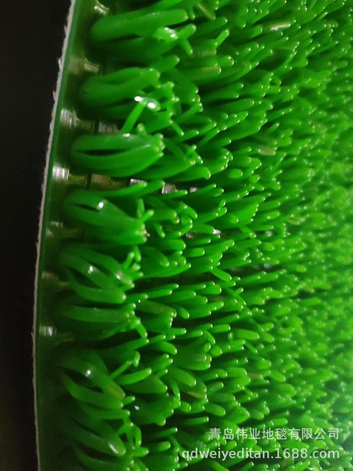 IMG20230220111337.jpg