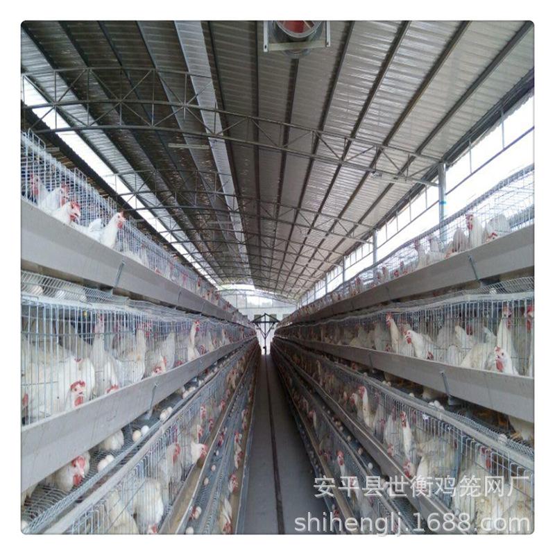 图片3_副本