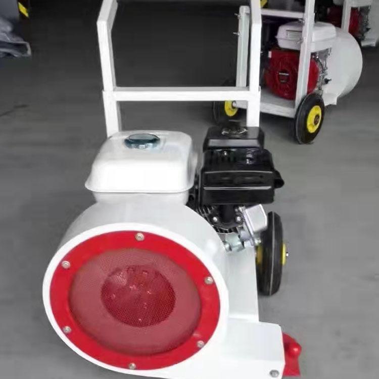 马路吹风机2021.10.18 (6)