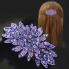 Corea del Sur horquilla elegante con pedrería grande simple tocado clip trasero para coleta clip superior clip de resorte joyería para mujeres