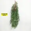 Plantas Verdes Penduradas na Parede Planta-Aranha Flores Artificiais Plantas Verdes Pendentes Samambaias Tubos de Parede Decoração de Teto Folhas de Samambaia Cipós