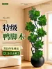 Planta de Madera Patas de Pato para Sala de Estar, Planta de Interior Grande en Maceta de Alta Gama, Madera Patas de Pato de Pie Elegante y Sofisticada