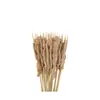 Brochetas populares para snacks en línea, brochetas comerciales, brochetas fritas, productos semielaborados, brochetas picantes revolucionarias, brochetas para olla caliente, brochetas de res picantes