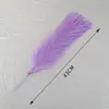 Hierba de la Pampa de 43 cm 2025 Amazon Transfronterizo Nórdico Boho Caña Artificial Decorativa para Uso Diario en el Hogar