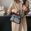 Nicho Design Retro Bolsa 2025 Outono e Inverno Nova Textura Bolsa Coreana Cor Sólida Bolsa Mensageiro Pequena Bolsa Quadrada
