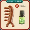 Peine de masaje de sándalo con forma de delfín, peine meridiano para la cabeza, peine de dientes anchos, artefacto multifuncional para la terapia capilar, peine de madera, caja de regalo para personas