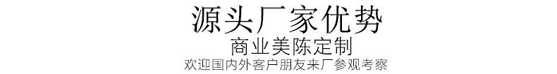 凡蒂洛彩灯1_05