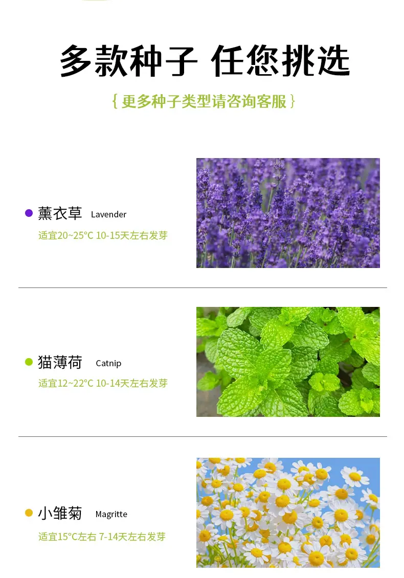 详情图片11.jpg